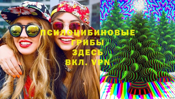 спайс Липки